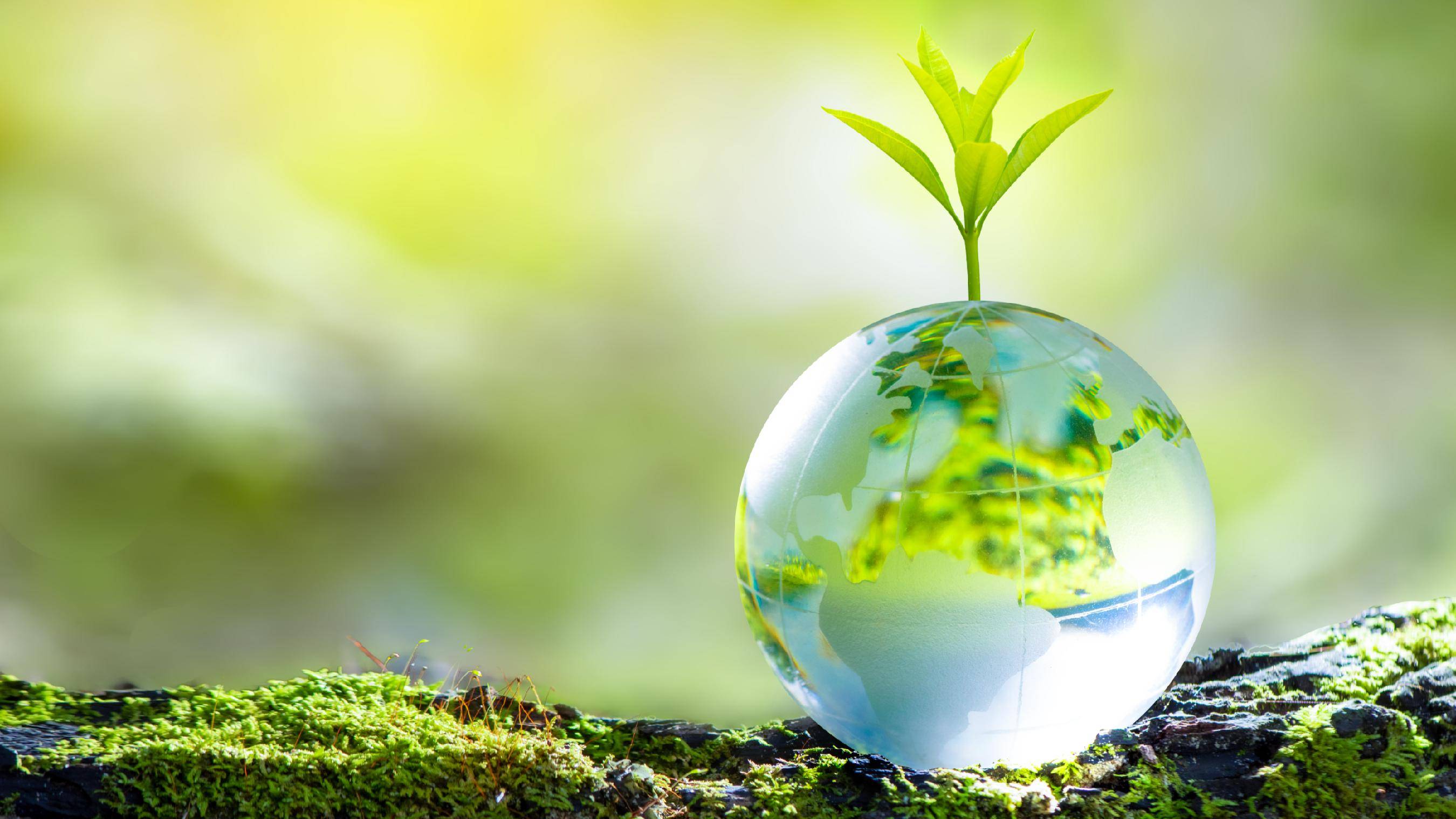 米兰体育app平台-青训“绿色+智慧”双驱动产业链稳步布局，行业向高质量发展迈进的简单介绍