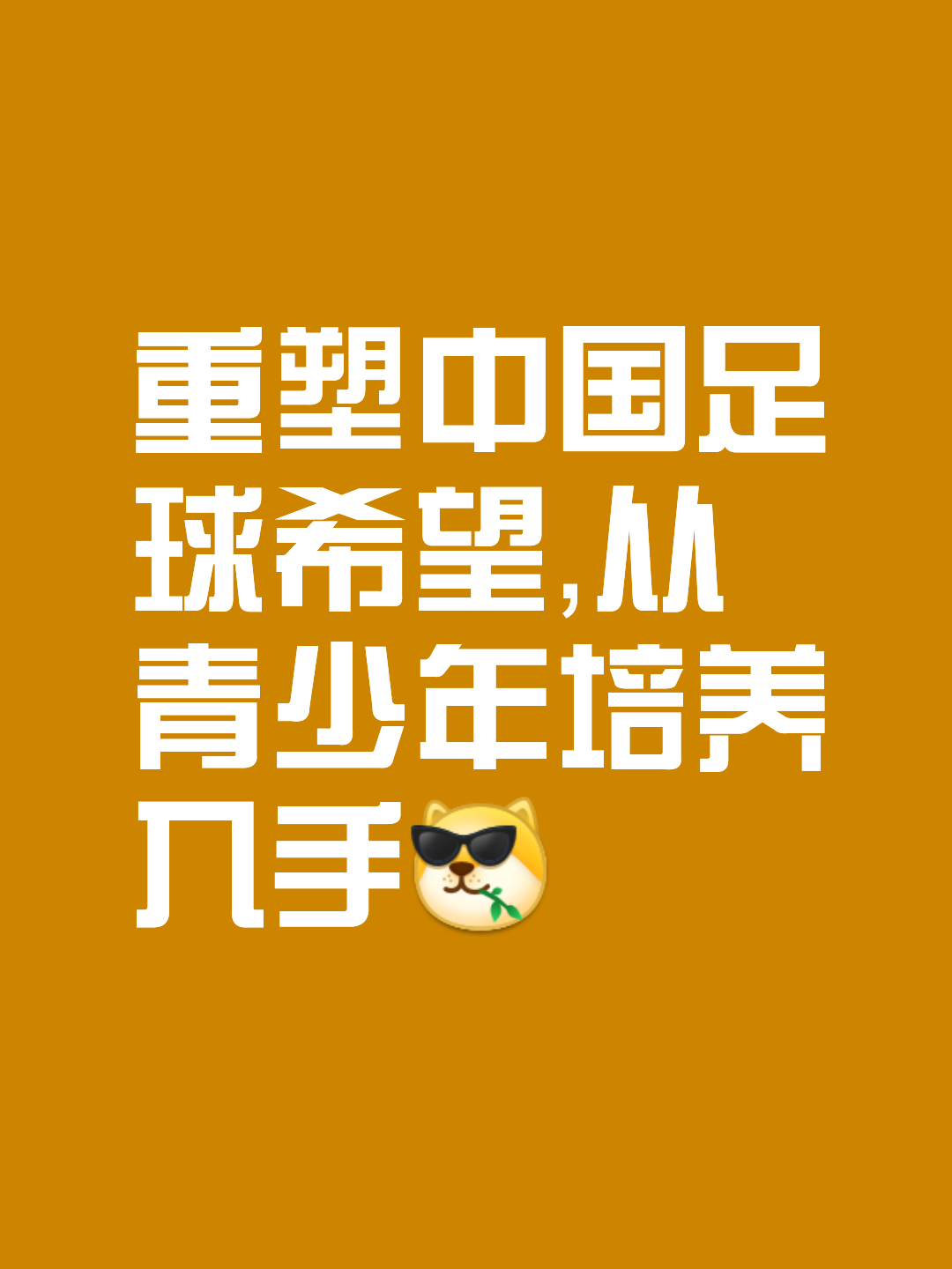 包含中国足协重启青训基金,培育未来希望的词条 包含中国足协重启青训基金,培育未来希望的词条