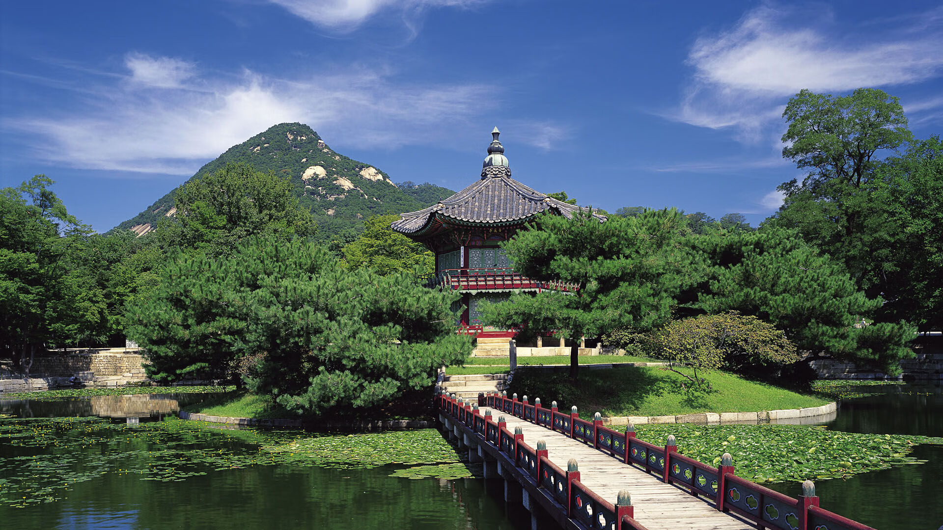 中国跳水队备战世锦赛陈芋汐状态稳定,中国跳水小将陈芋汐是哪里人