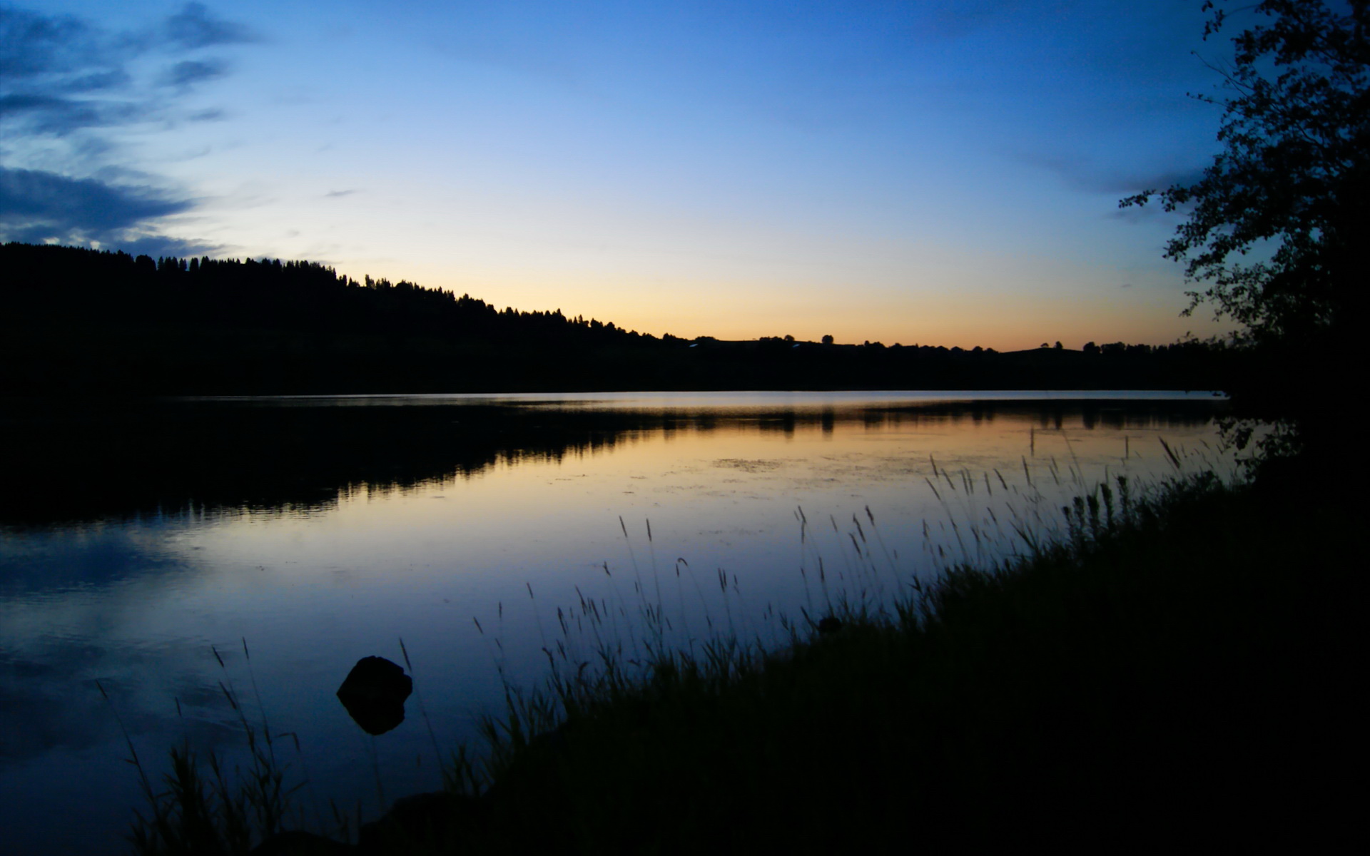 体育球员表现提升助球队冲击冠军,球员总结