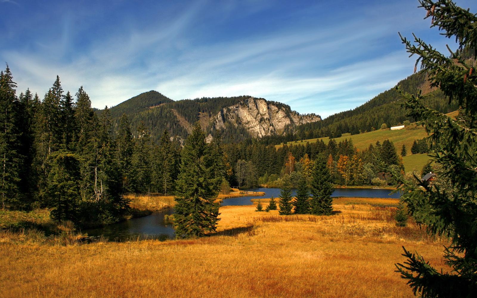 意大利球队是否应在欧战中扮演更大角色,意大利球队名单公布