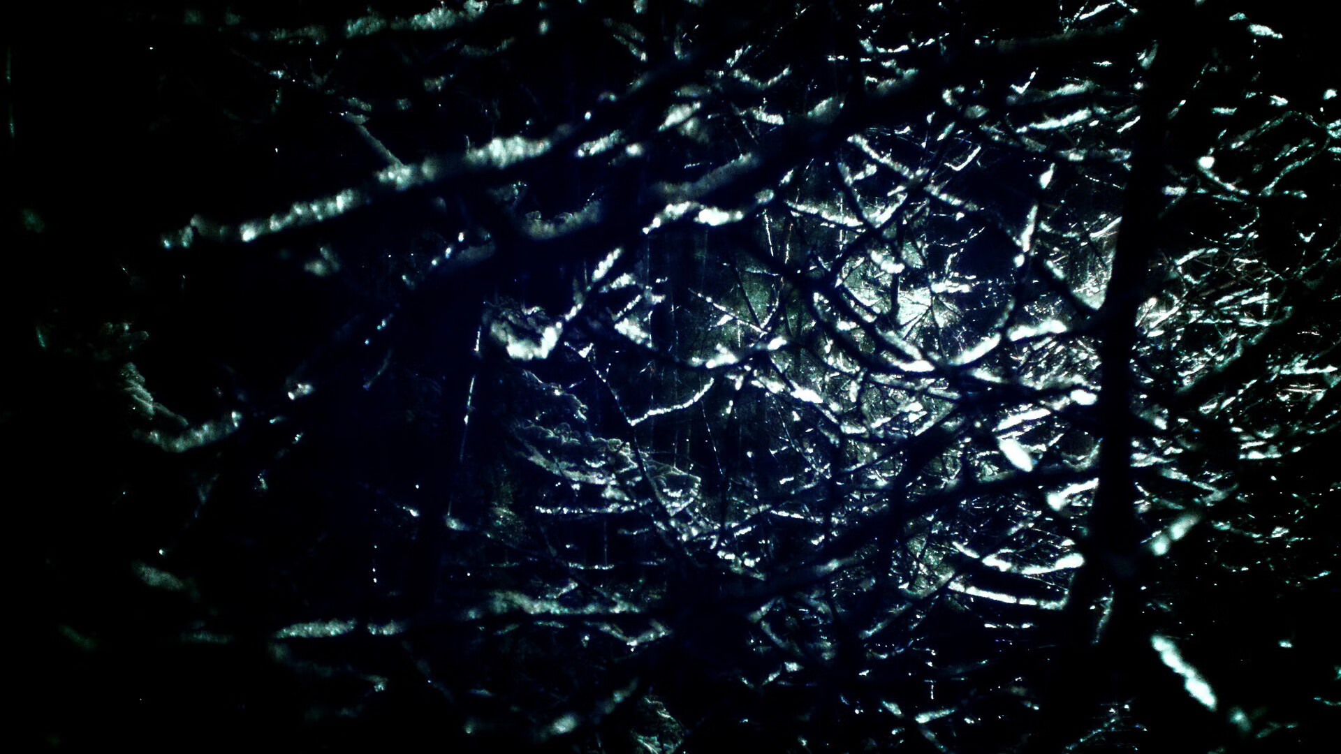 挪威队表现抢眼，实力暴露无遗，挪威的球员