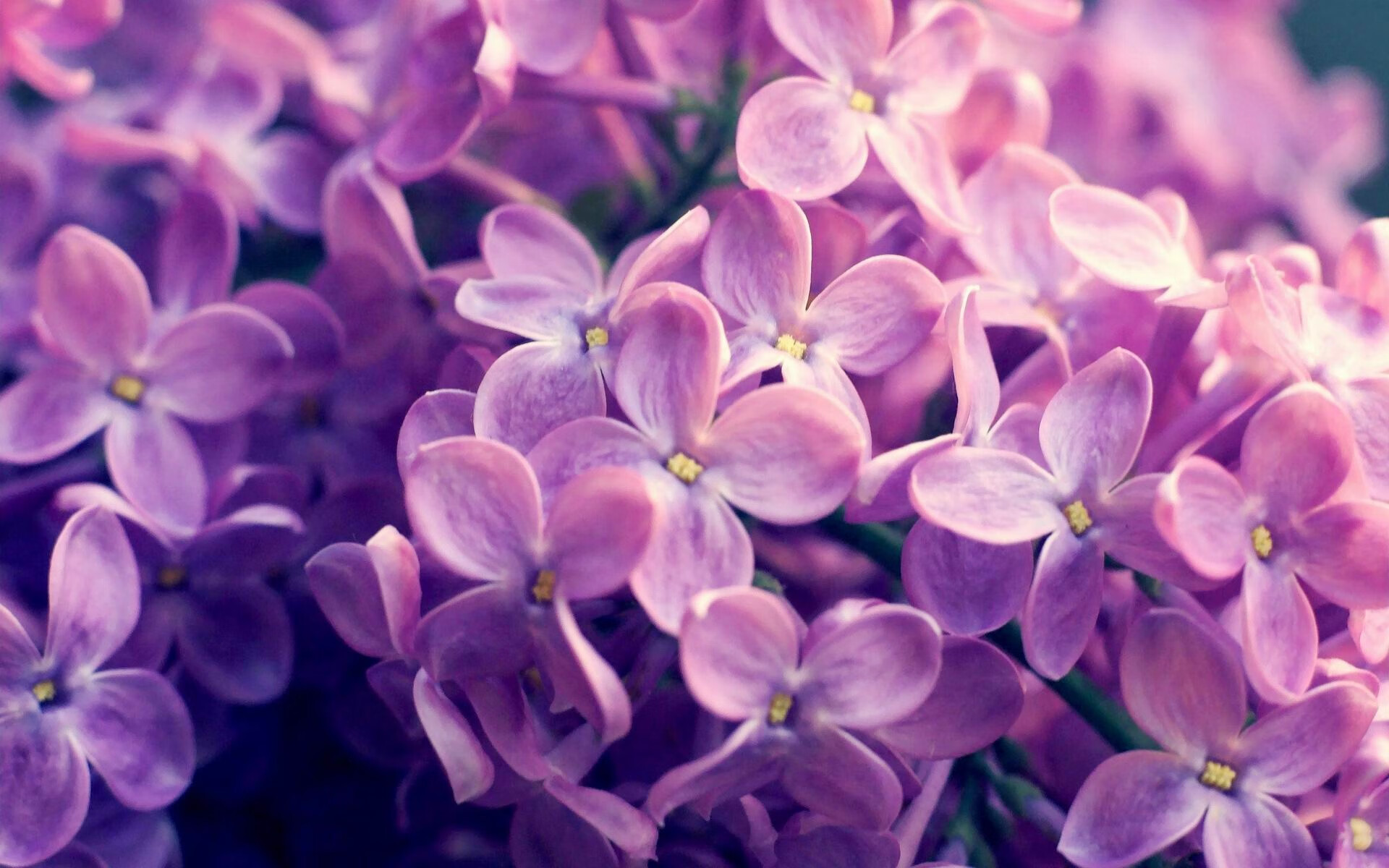 NBA赛季防守效率统计,nba赛季防守效率统计最新