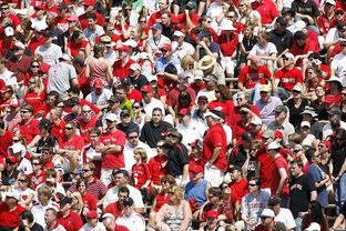 米兰体育网址-体育赛事观众行为特征与管理对策，观众对体育赛事的意义