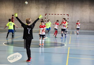 米兰体育网-高校学生运动表现与生活方式之间的相关性研究，大学生有关运动情况调查报告