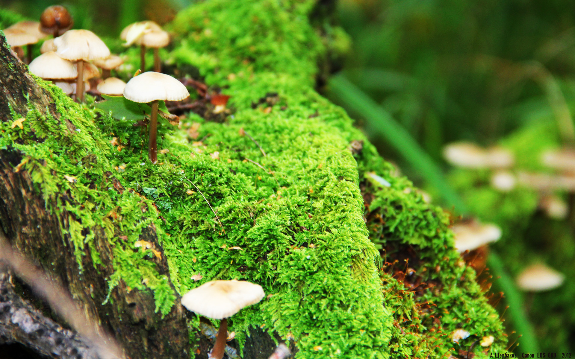 ac米兰官网-DOTA2国际服更新延迟引发玩家吐槽，dota2国服延迟高解决办法