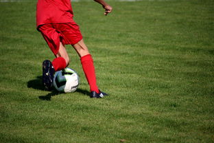 米兰体育APP-职业俱乐部推动退役球员培训转型教练岗位，职业选手退役当教练