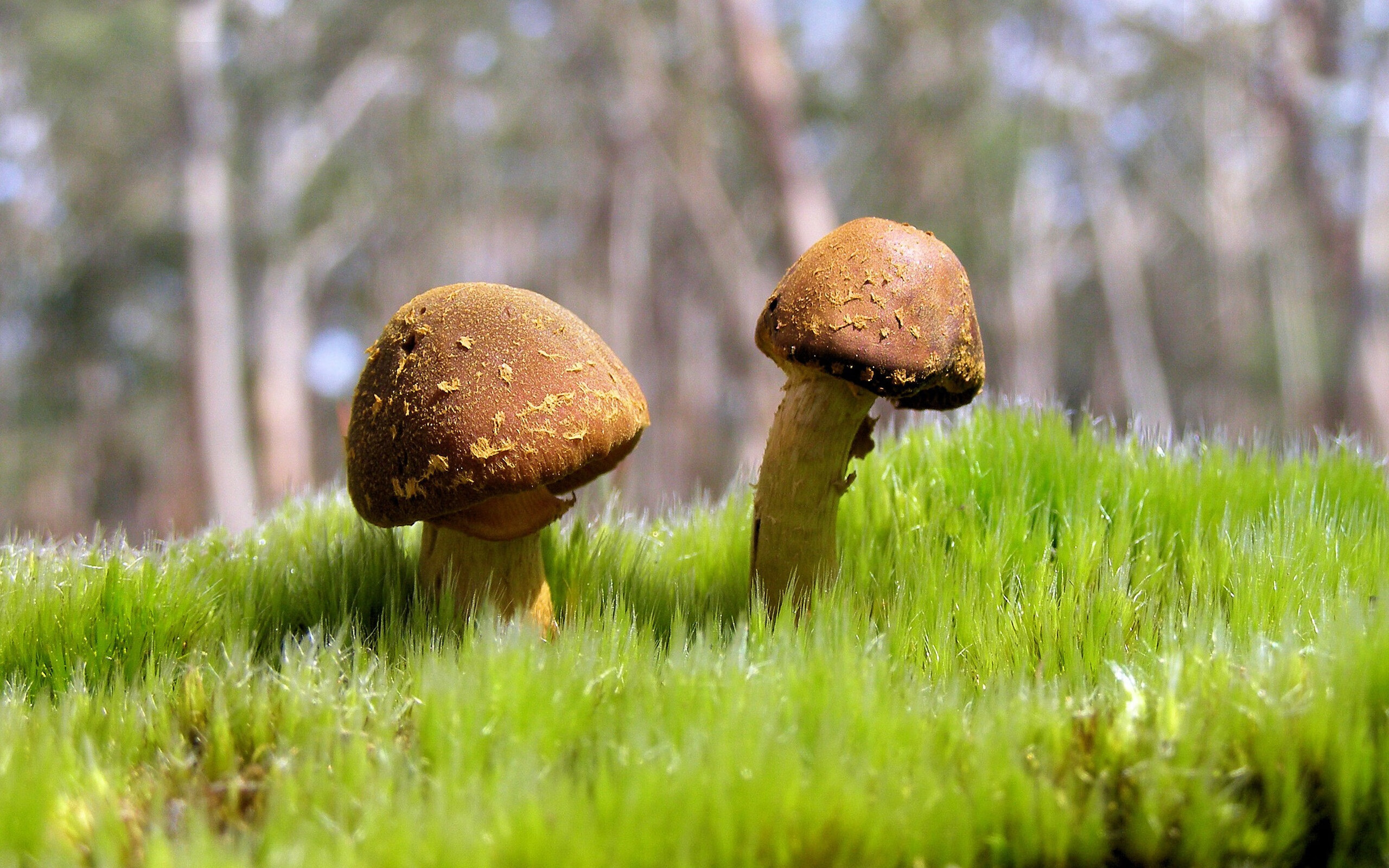 高校篮球赛事增加观众互动活动提升参与感,人文教育学院篮球比赛活动方案