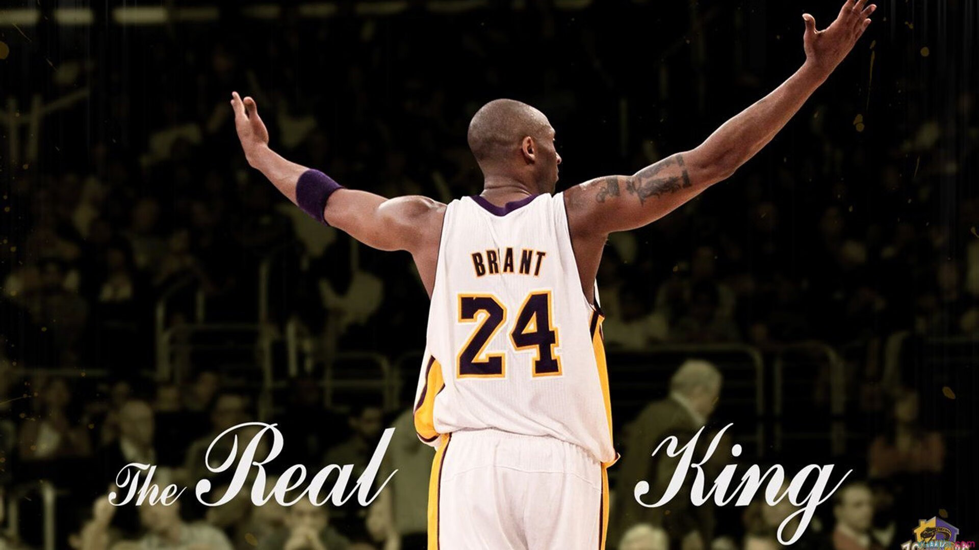 米兰体育网址-《高校电竞队伍崭露头角：校园赛火爆开启》，电竞高校yy